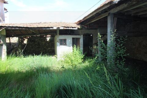 Farm i Tabua, Coimbra, Tabua - € 99.000 | Ref: FIN_1035 - foto 22