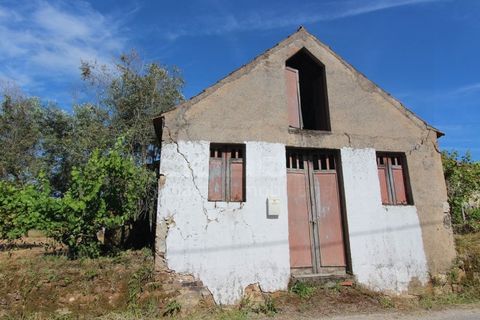 Farm i Tabua, Coimbra, Tabua - € 99.000 | Ref: FIN_1035 - foto 24