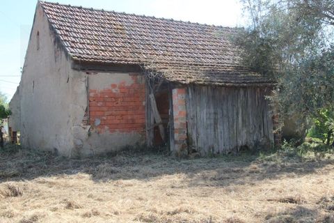 Farm i Tabua, Coimbra, Tabua - € 99.000 | Ref: FIN_1035 - foto 25