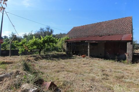 Farm i Tabua, Coimbra, Tabua - € 99.000 | Ref: FIN_1035 - foto 26