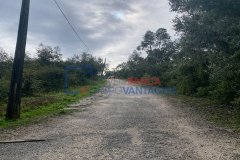 Helårsgrund i Coimbra, Coimbra, Coimbra - € 2.799.000 | Ref: T-31035 - foto 2