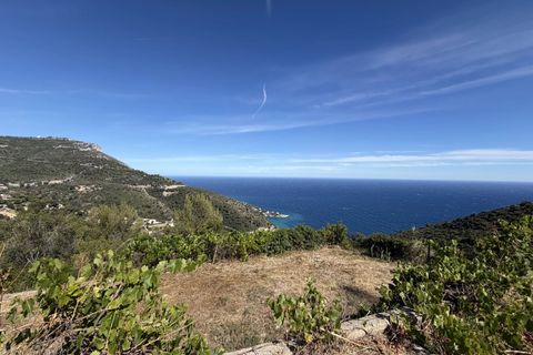 Helårsgrund i Eze, Alpes-Maritimes, Eze - € 2.000.000 | Ref: 4526 - foto 2