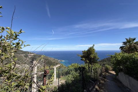 Helårsgrund i Eze, Alpes-Maritimes, Eze - € 2.000.000 | Ref: 4526 - foto 5