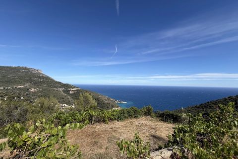 Helårsgrund i Eze, Alpes-Maritimes, Eze - € 2.000.000 | Ref: 4526 - foto 7