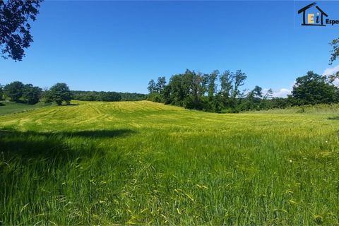 Landejendom i Lubriano, Viterbo, Lubriano - € 130.000 | Ref: GEG-815 - foto 4