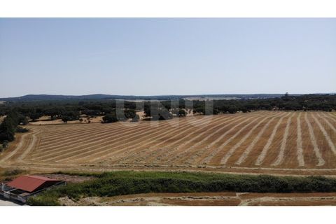 Villa a Arraiolos, Evora, Arraiolos - € 260.000 | Ref: UNU.I.1273.20159 - foto 25