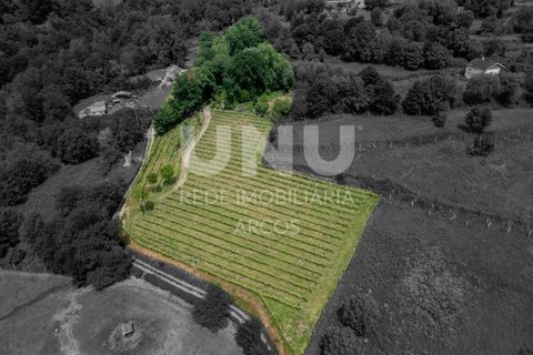 Helårsgrund i Arcos de Valdevez, Viana do Castelo, Arcos de Valdevez - € 66.150 | Ref: UNU.I.238.23362 - foto 2