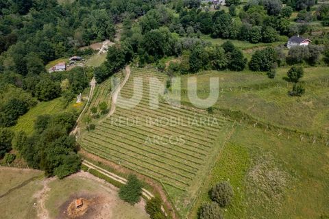 Helårsgrund i Arcos de Valdevez, Viana do Castelo, Arcos de Valdevez - € 66.150 | Ref: UNU.I.238.23362 - foto 3