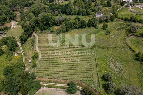 Helårsgrund i Arcos de Valdevez, Viana do Castelo, Arcos de Valdevez - € 66.150 | Ref: UNU.I.238.23362 - foto 4