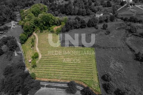 Helårsgrund i Arcos de Valdevez, Viana do Castelo, Arcos de Valdevez - € 66.150 | Ref: UNU.I.238.23362 - foto 5