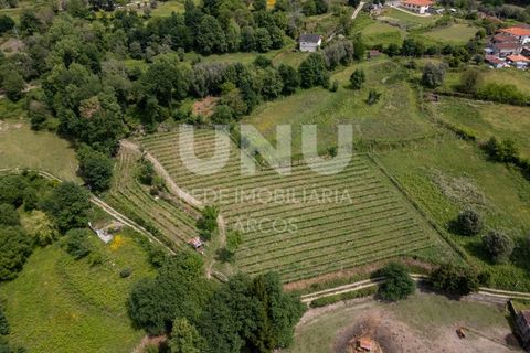 Helårsgrund i Arcos de Valdevez, Viana do Castelo, Arcos de Valdevez - € 66.150 | Ref: UNU.I.238.23362 - foto 7
