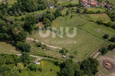 Helårsgrund i Arcos de Valdevez, Viana do Castelo, Arcos de Valdevez - € 66.150 | Ref: UNU.I.238.23362 - foto 8