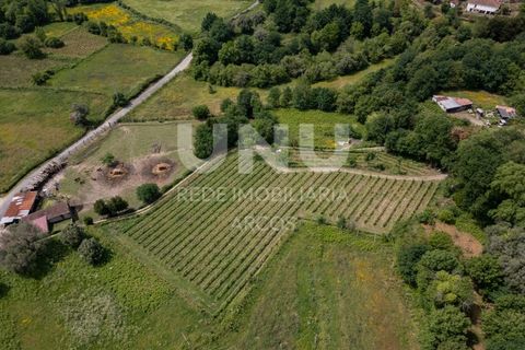 Helårsgrund i Arcos de Valdevez, Viana do Castelo, Arcos de Valdevez - € 66.150 | Ref: UNU.I.238.23362 - foto 10