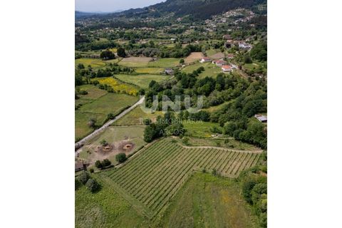 Helårsgrund i Arcos de Valdevez, Viana do Castelo, Arcos de Valdevez - € 66.150 | Ref: UNU.I.238.23362 - foto 11