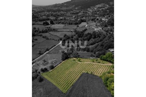 Helårsgrund i Arcos de Valdevez, Viana do Castelo, Arcos de Valdevez - € 66.150 | Ref: UNU.I.238.23362 - foto 12