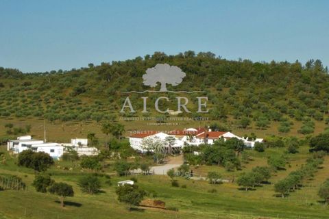 Farm i Portel, Evora, Portel - € 785.000 | Ref: 3672026CC - foto 2