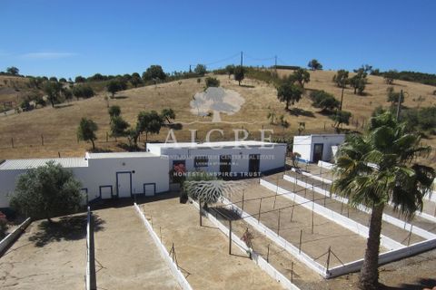 Farm i Portel, Evora, Portel - € 785.000 | Ref: 3672026CC - foto 6