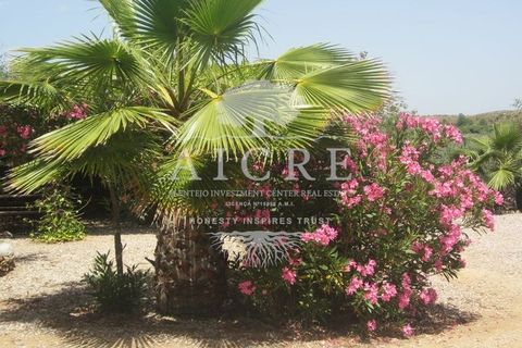 Farm i Portel, Evora, Portel - € 785.000 | Ref: 3672026CC - foto 16