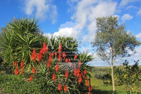 Farm i Portel, Evora, Portel - € 785.000 | Ref: 3672026CC - foto 17