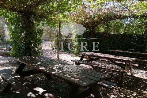 Farm i Portel, Evora, Portel - € 785.000 | Ref: 3672026CC - foto 18