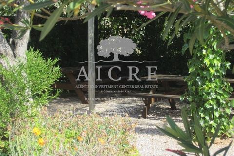 Farm i Portel, Evora, Portel - € 785.000 | Ref: 3672026CC - foto 19