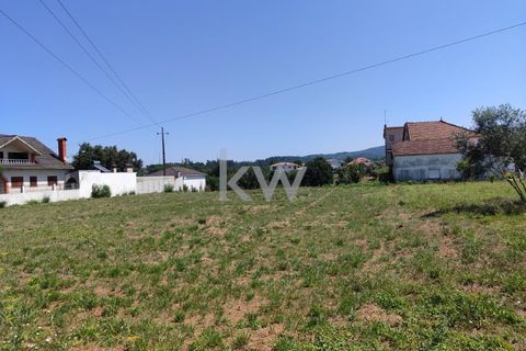 Terra a Arganil, Coimbra, Arganil - € 100.000 | Ref: KWPT-003270 - foto 2
