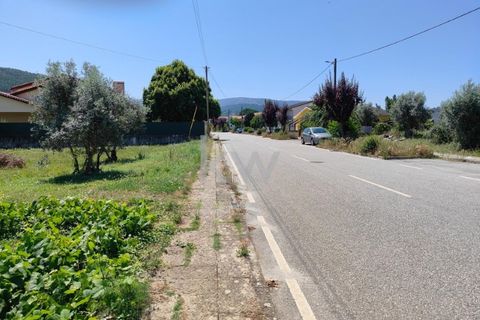 Terra a Arganil, Coimbra, Arganil - € 100.000 | Ref: KWPT-003270 - foto 3