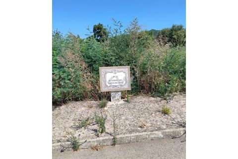 Terra a Arganil, Coimbra, Arganil - € 100.000 | Ref: KWPT-003270 - foto 4