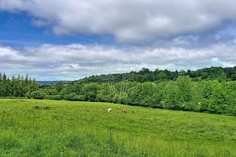 Villa a Cambremer, Calvados, Cambremer - € 525.000 | Ref: 87110149 - foto 20