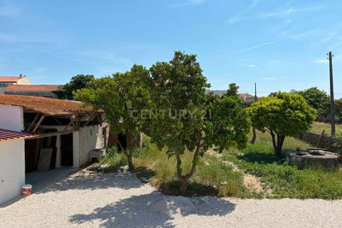 Villa a Vagos, Aveiro, Vagos - € 329.500 | Ref: C0385-01018 - foto 15