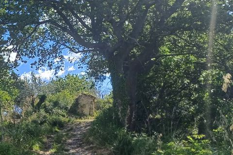 Landejendom i Massignano, Ascoli Piceno, Massignano - € 32.000 | Ref: cas2006 - foto 1