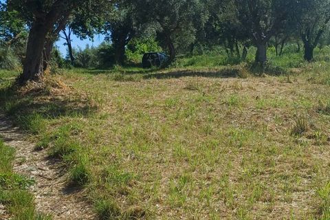 Landejendom i Massignano, Ascoli Piceno, Massignano - € 32.000 | Ref: cas2006 - foto 3