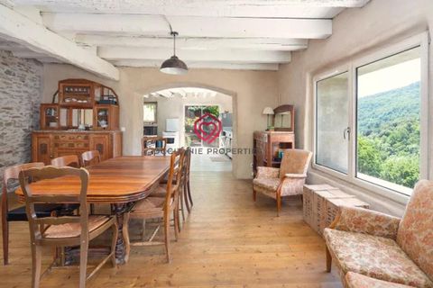 Landsbyhus i Labastide-Esparbairenque, Aude, Labastide-Esparbairenque - € 249.000 | Ref: OP014 - foto 6