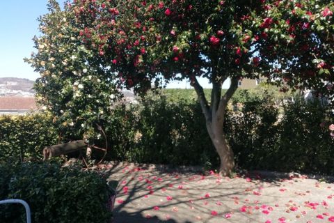 Landejendom i Lousada, Porto, Lousada - € 475.000 | Ref: CAS_259 - foto 13
