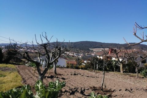 Landejendom i Lousada, Porto, Lousada - € 475.000 | Ref: CAS_259 - foto 15