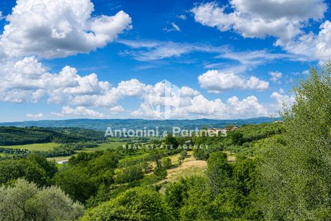 Villa i Collazzone, Perugia, Collazzone - € 395.000 | Ref: 71696-1 - foto 6