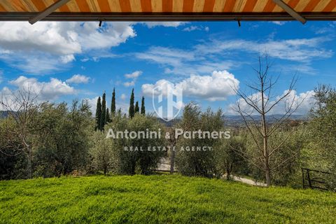Villa i Collazzone, Perugia, Collazzone - € 395.000 | Ref: 71696-1 - foto 13