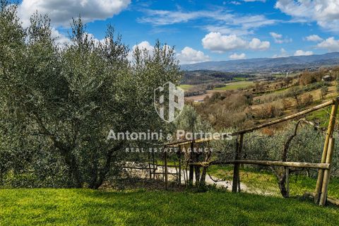 Villa i Collazzone, Perugia, Collazzone - € 395.000 | Ref: 71696-1 - foto 27