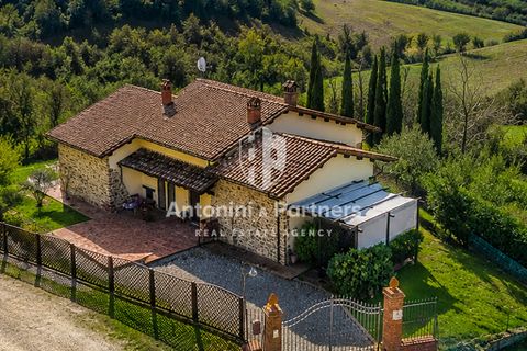 Villa i Collazzone, Perugia, Collazzone - € 395.000 | Ref: 71696-1 - foto 30