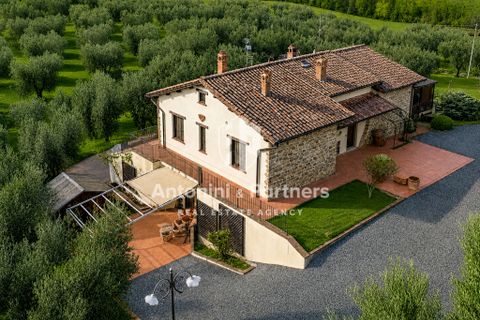 Villa i Collazzone, Perugia, Collazzone - € 395.000 | Ref: 71696-1 - foto 31