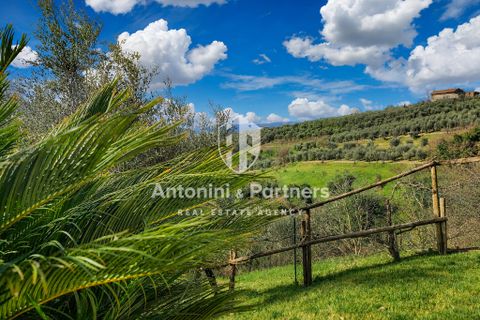 Villa i Collazzone, Perugia, Collazzone - € 395.000 | Ref: 71696-1 - foto 41