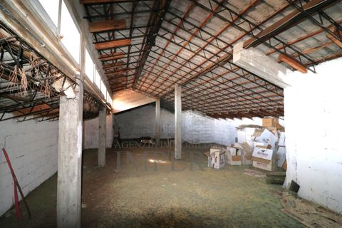 Villa i Ventimiglia, Imperia, Ventimiglia - € 670.000 | Ref: 23967 - foto 50