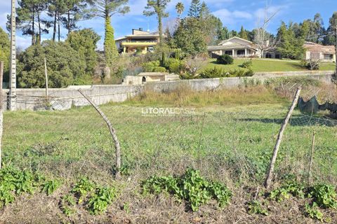 Helårsgrund i Aveiro, Aveiro, Aveiro - € 60.000 | Ref: VEN-4150 (2) - foto 9