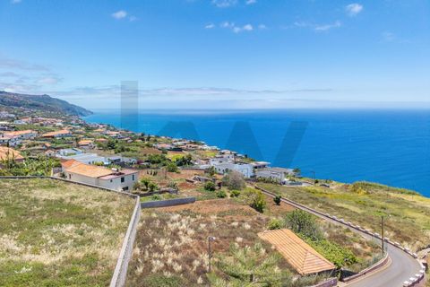 Helårsgrund i Calheta, Madeira, Calheta - € 225.000 | Ref: KWPT-034387 - foto 7