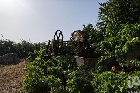 Byhus i Faro, Faro, Faro - € 690.000 | Ref: 942657 - foto 3