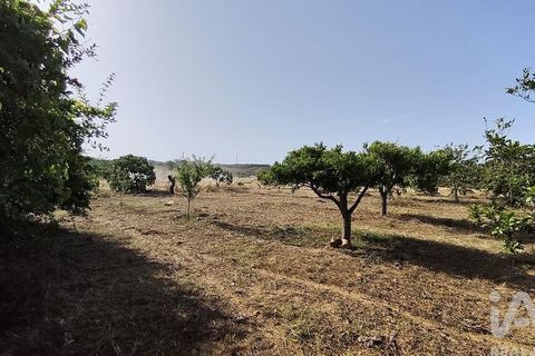 Byhus i Faro, Faro, Faro - € 690.000 | Ref: 942657 - foto 4
