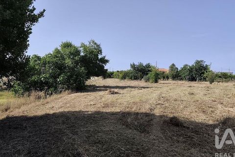 Byhus i Faro, Faro, Faro - € 690.000 | Ref: 942657 - foto 6