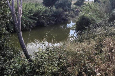 Villa a Hornachos, Badajoz, Hornachos - € 135.000 | Ref: 14258-MVR/2912 - foto 22