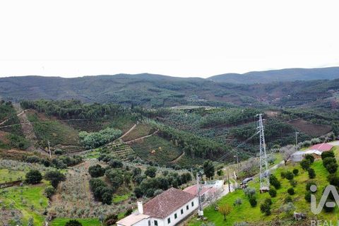 Byhus i Oleiros, Castelo Branco, Oleiros - € 50.000 | Ref: 943434 - foto 9