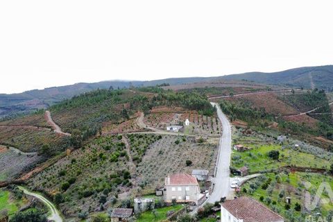 Byhus i Oleiros, Castelo Branco, Oleiros - € 50.000 | Ref: 943434 - foto 10